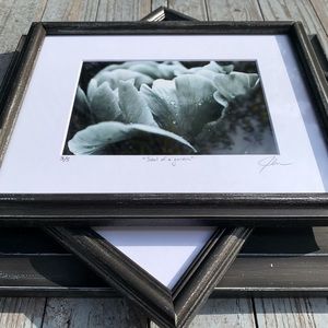 “soul of a garden” - limited edition print (3/5), signed and numbered.